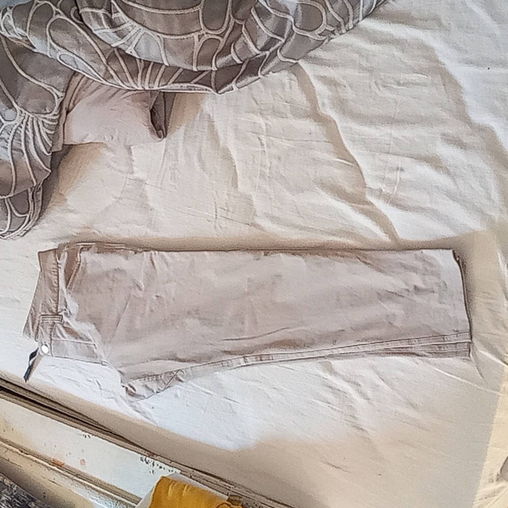 Men's size 33 Lululemon pants